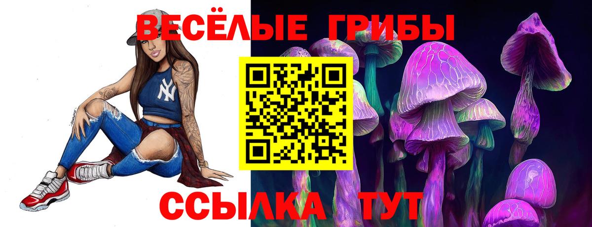 Галлюциногенные грибы Psilocybe  Вход с VPN  Саров  даркнет сайт  Псилоцибиновые грибы GOLDEN TEACHER 