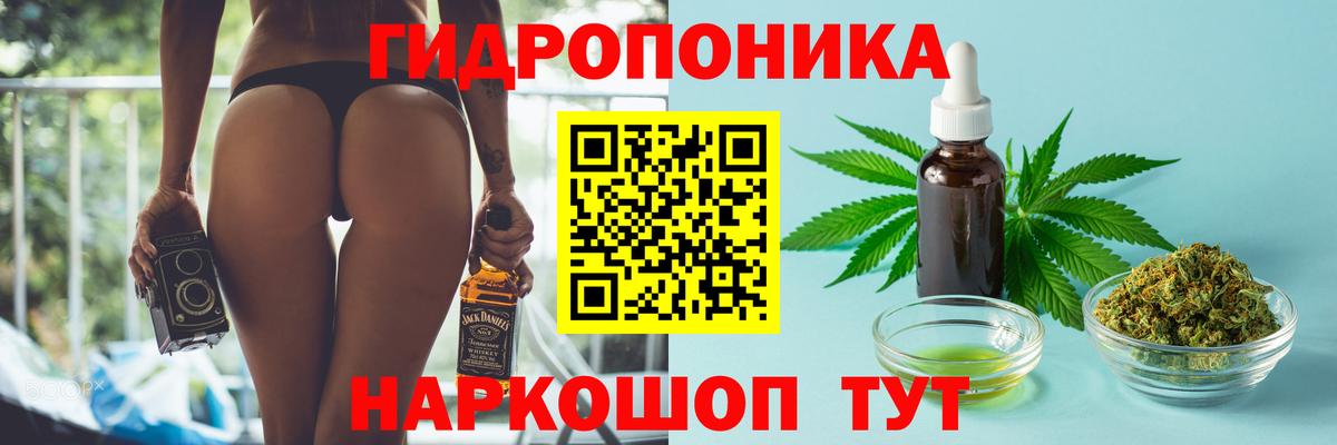 Бошки Шишки планчик Саров